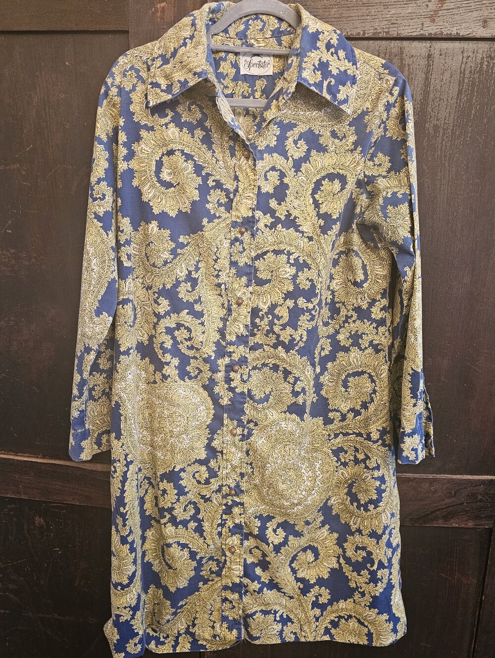 The SPECTATOR Vintage-Inspired Blue & Gold Paisley Button-Front Dress